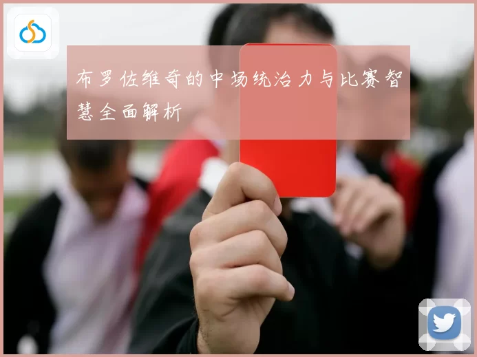 布罗佐维奇的中场统治力与比赛智慧全面解析